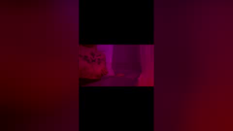 Snapshot of abigrace chatting on 04.10.26 abigrace online show from 04.10.26