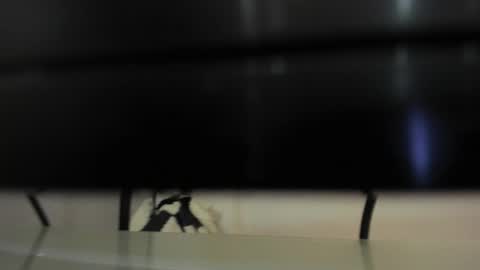 Abril 777 online show from 02.22.26