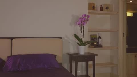 Abril Colls online show from 02.18.26