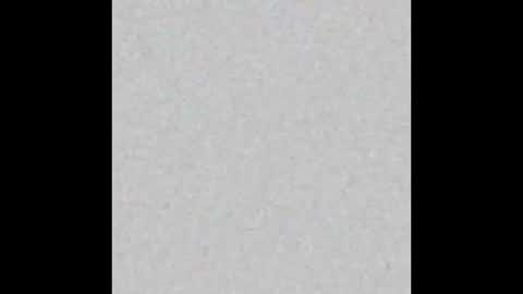 adam_piarse online show from 11.16.25