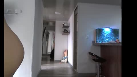 eva online show from 02.10.26