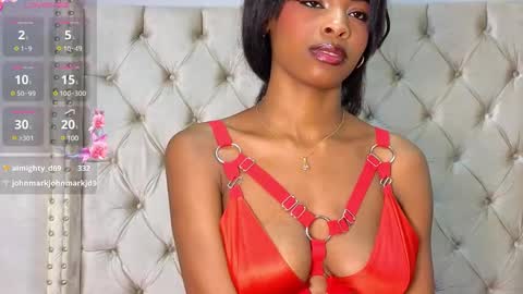 Snapshot of adarasmiith chatting on 12.21.24 adarasmiith online show from 12.21.24