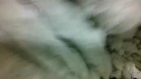 adelealy online show from 07.30.26