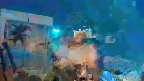 Snapshot of adoniswoody chatting on 12.31.24 Adonis XDDDDDDDD Woody online show from 12.31.24