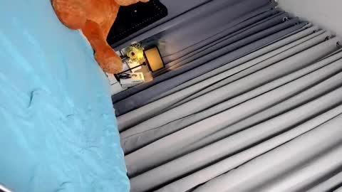 Adriana online show from 03.04.25