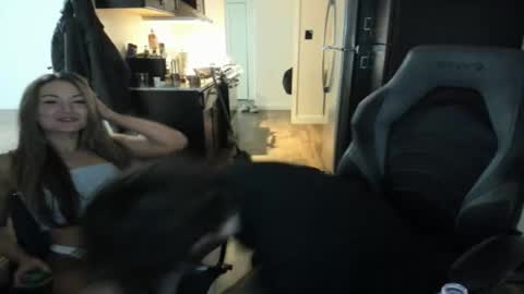 Niko online show from 02.23.26