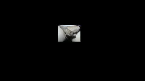 NE Ohio BiGuy online show from 02.05.26