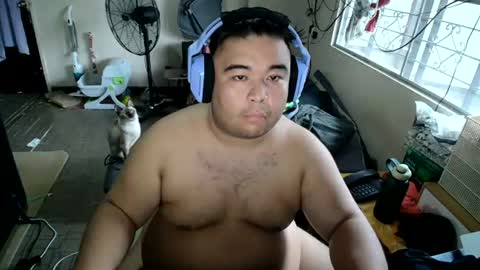 AFilamBear online show from 08.01.26