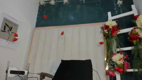 Africa  online show from 05.05.26