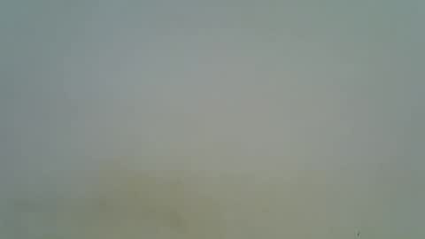 Snapshot of afronubians chatting on 03.06.25 afronubians online show from 03.06.25