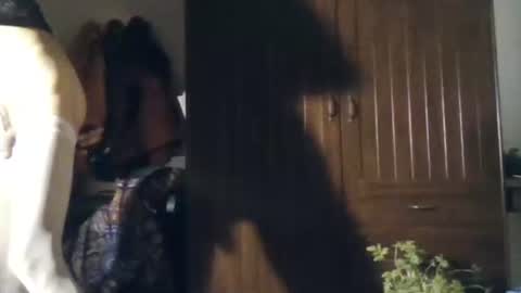 Snapshot of aguahot2 chatting on 11.22.25 agua online show from 11.22.25