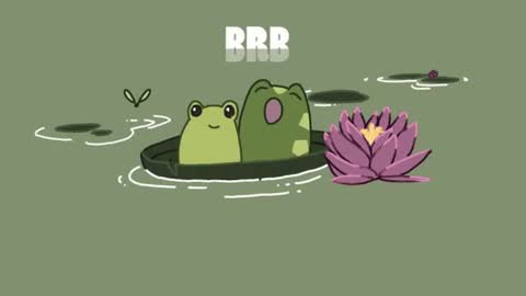 Catalina online show from 02.26.25