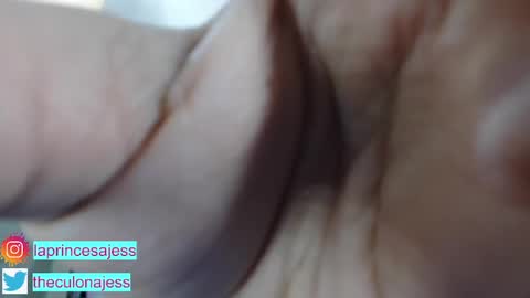 Snapshot of aisha_atenea chatting on 12.28.24 Jess online show from 12.28.24