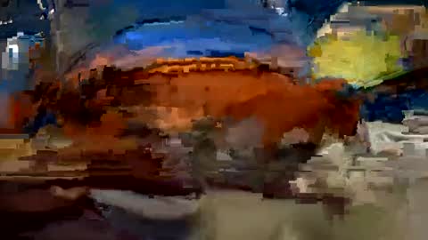 Snapshot of aj297914 chatting on 10.01.25 aj297914 online show from 10.01.25