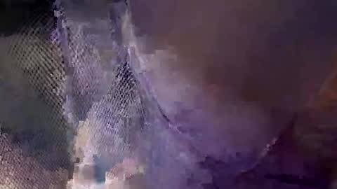 Snapshot of aj297914 chatting on 10.18.25 aj297914 online show from 10.18.25