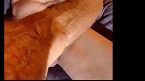 Snapshot of akiwi2 chatting on 12.20.24 akiwi2 online show from 12.20.24