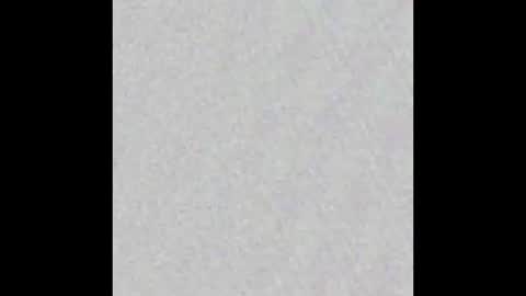 Snapshot of al_miko chatting on 01.12.25 Al Fox Miko Fortuni online show from 01.12.25