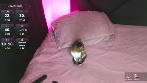 alahia online show from 01.15.25