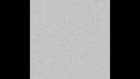 Alan Noir online show from 03.13.26