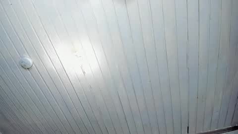 ---Alan--- online show from 02.24.25