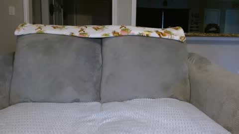 Alanna Rack online show from 02.26.25