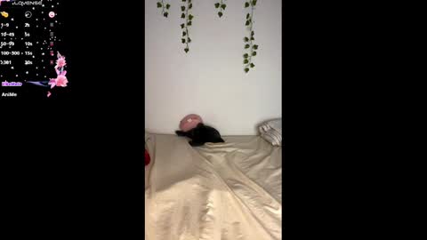 Snapshot of alaska_drew chatting on 02.25.25 Alaska online show from 02.25.25