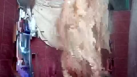 Snapshot of alejandrochao84 chatting on 10.05.25 alejandrochao84 online show from 10.05.25