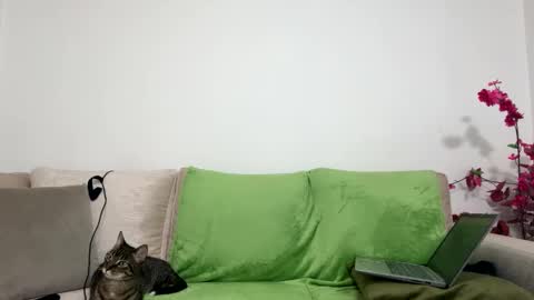 Snapshot of alejo__twinkboy chatting on 01.30.25 alejo__twinkboy online show from 01.30.25