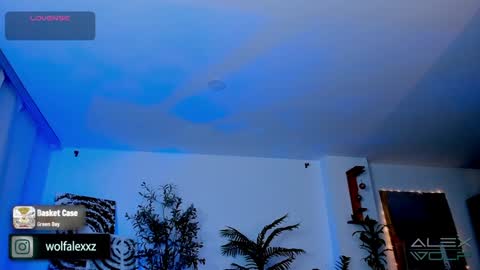 Alex Wolf online show from 01.17.25