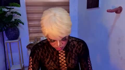 alexgrayanx online show from 11.19.25