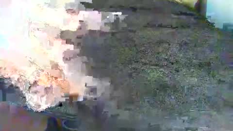 Alex online show from 10.17.25