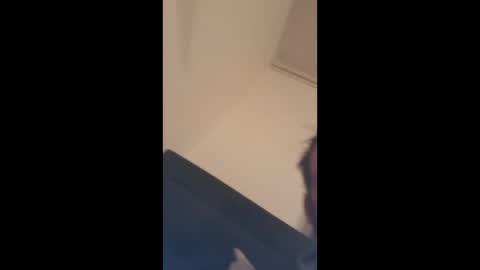 alexhowardc online show from 01.06.26