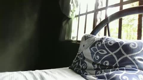 Snapshot of alextico1 chatting on 12.29.24 Alex online show from 12.29.24