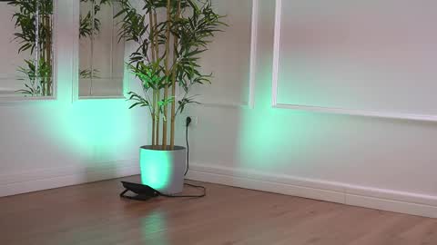 alexxiskye online show from 01.06.26