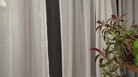 Snapshot of ali500886 chatting on 03.30.26 ali500886 online show from 03.30.26