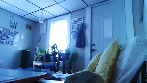 ali_tayler online show from 11.08.25