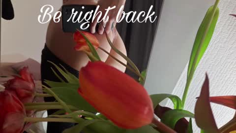 Snapshot of alice_dias chatting on 12.26.24 alice_dias online show from 12.26.24