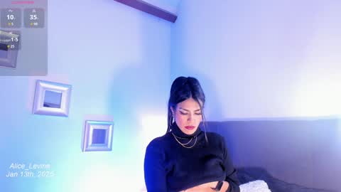 Snapshot of alice_levine chatting on 01.14.25 Alice online show from 01.14.25