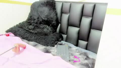 Snapshot of alicee_mature chatting on 05.12.26 alicee online show from 05.12.26
