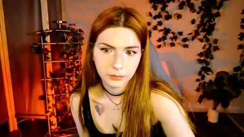 Alice online show from 07.24.26