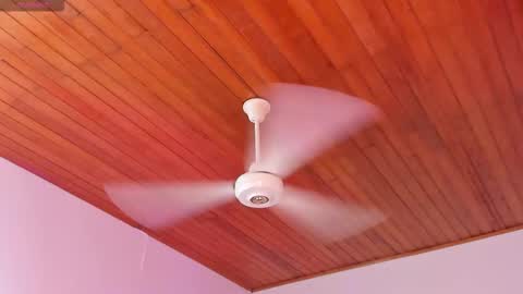 Snapshot of alicekiing_ chatting on 12.16.25 ALICEKIING online show from 12.16.25