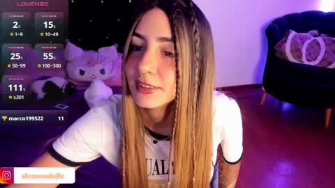 Snapshot of alicewoodville chatting on 12.28.24 Alice online show from 12.28.24