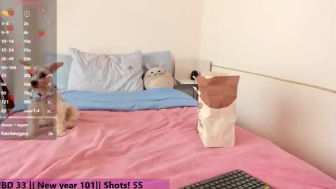 Aiko  Independent Model  online show from 01.01.25