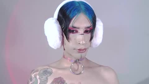     online show from 01.15.25