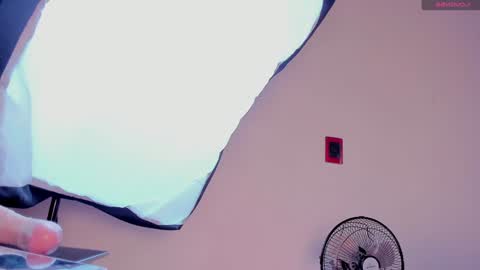 Alice online show from 12.20.24