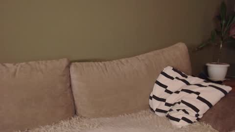 Snapshot of alisaxxxshy chatting on 02.03.26 alisaxxxshy online show from 02.03.26