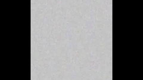 Snapshot of alishapalmer chatting on 10.16.25 online show from 10.16.25