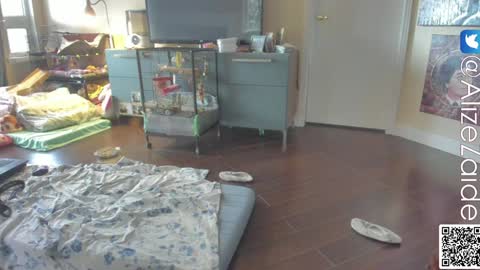 Alize Zaide online show from 01.10.25