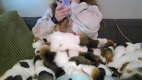 alliebearx online show from 04.18.26