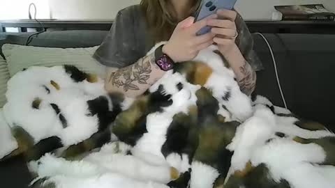 alliebearx online show from 04.28.26